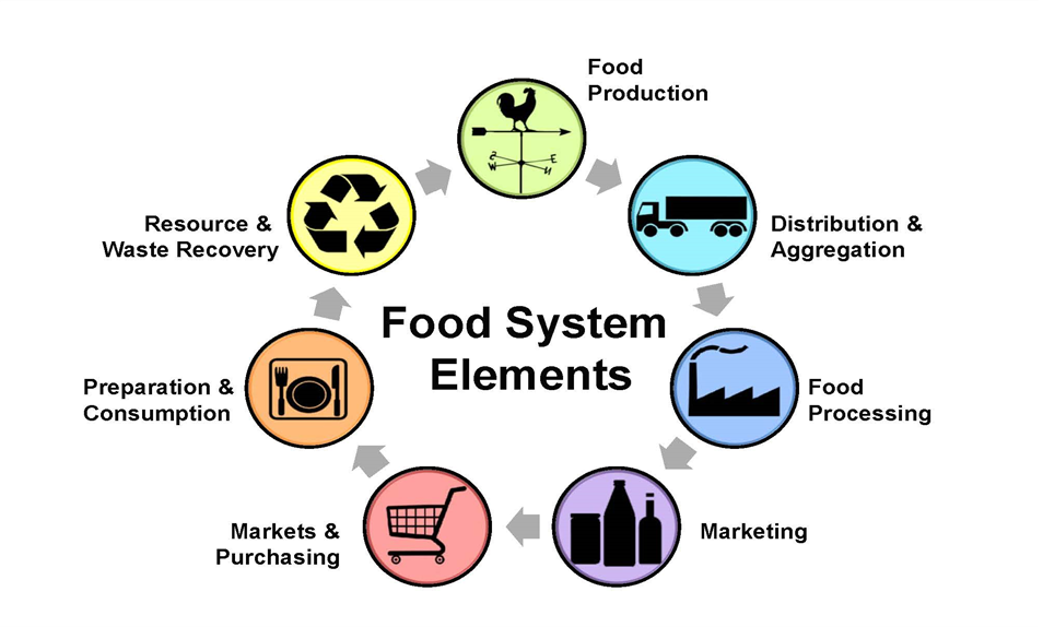 Figure 6: Elements of the food system