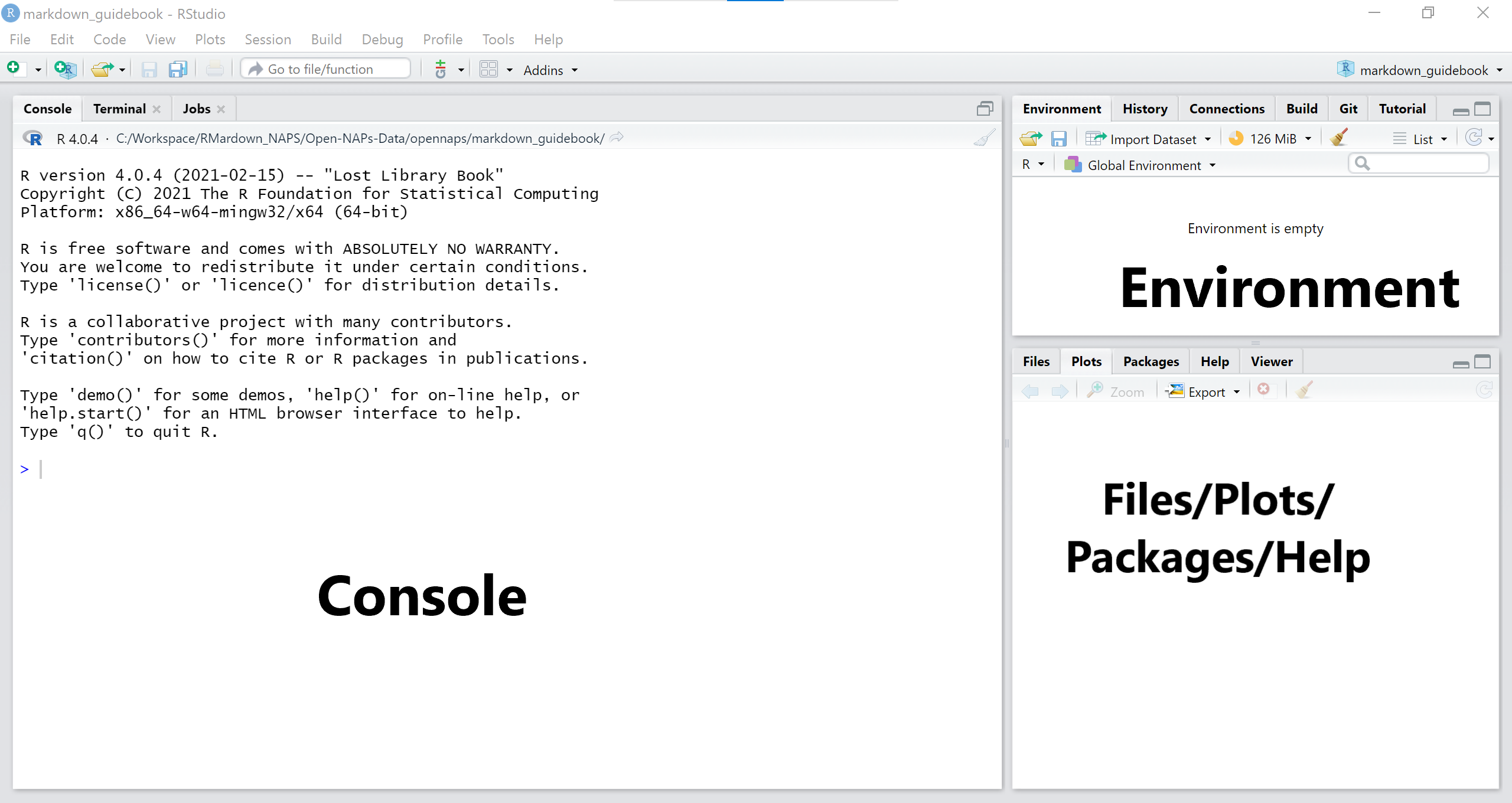 rstudio_window panels